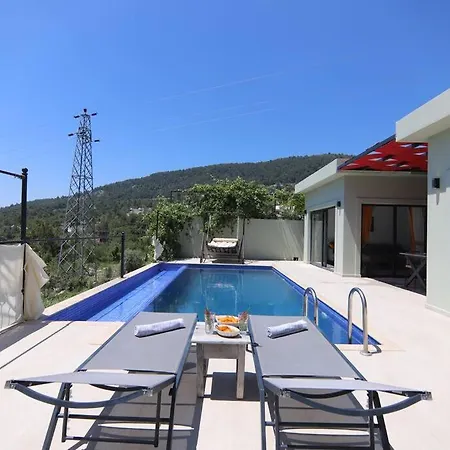 Odesa.baglar Icinde Sicacik Tatil Evi Villa *