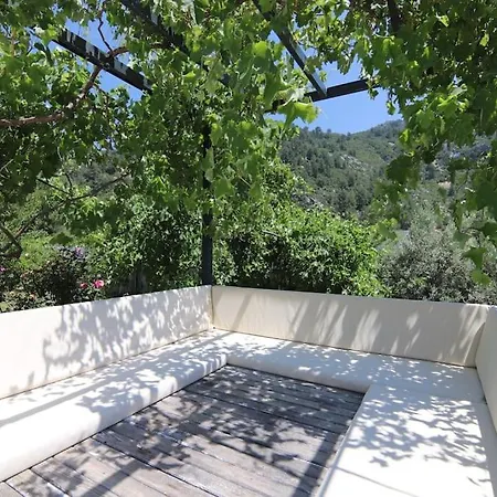 Odesa.baglar Icinde Sicacik Tatil Evi